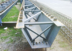 Puente Peatonal Ingenieros calculistas ingenieria civil obra cali colombia construccion